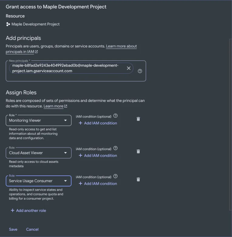 The Grant access panel on the project with the read-only account and three roles: Monitoring Viewer, Cloud Asset Viewer and Service Usage Consumer.